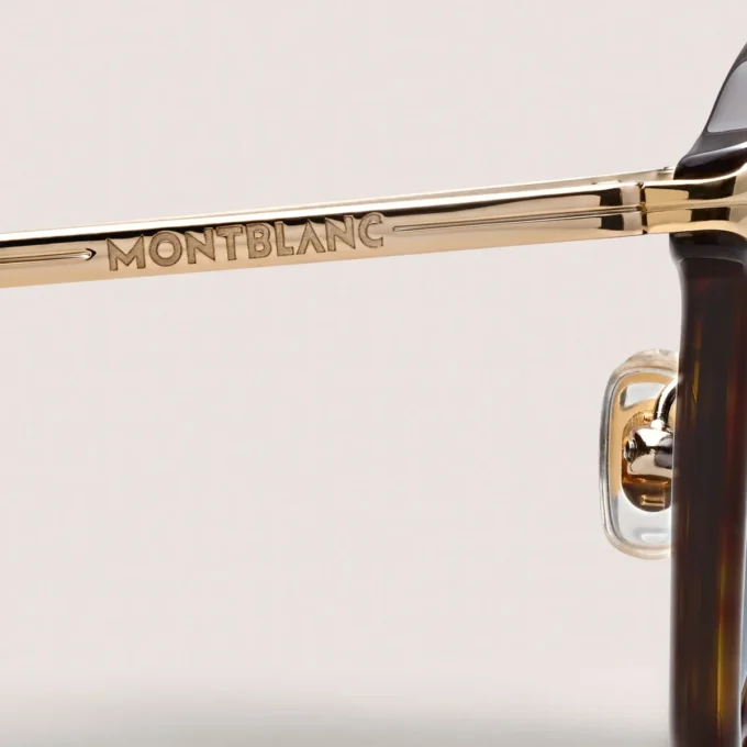 Runde solbriller med havana-acetatstel Runde solbriller med havana-acetatstel